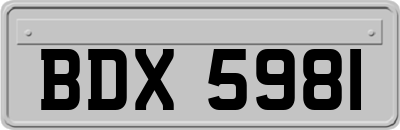 BDX5981
