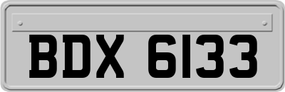 BDX6133