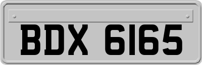BDX6165