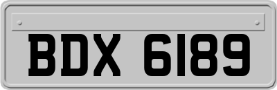 BDX6189