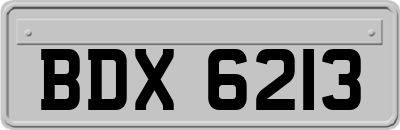 BDX6213