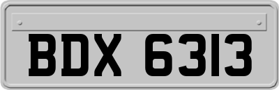 BDX6313