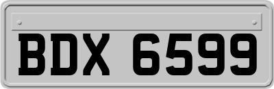 BDX6599