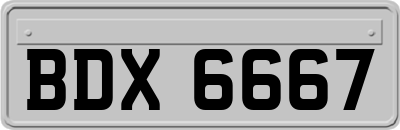 BDX6667