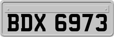 BDX6973