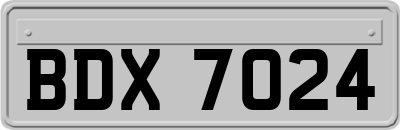 BDX7024