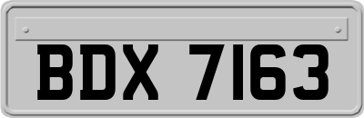 BDX7163