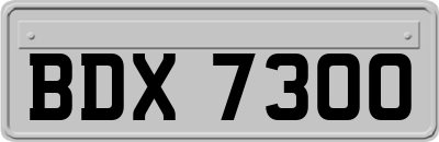 BDX7300