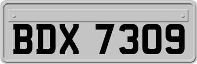 BDX7309