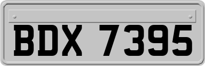 BDX7395