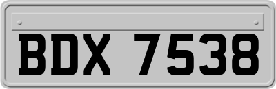 BDX7538