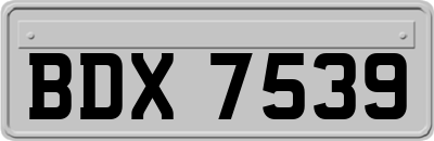 BDX7539