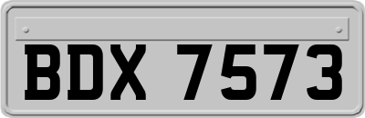 BDX7573
