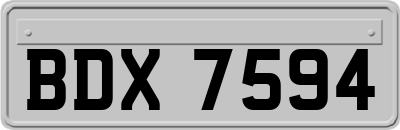 BDX7594