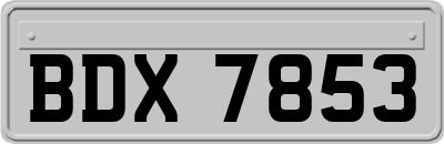 BDX7853
