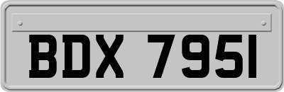 BDX7951