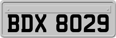 BDX8029