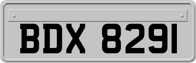 BDX8291