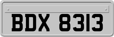 BDX8313