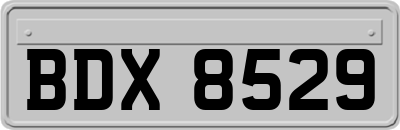BDX8529