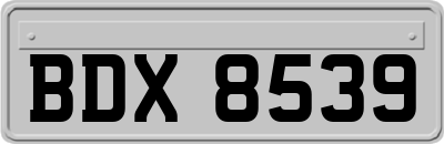 BDX8539