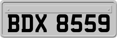 BDX8559