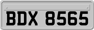 BDX8565