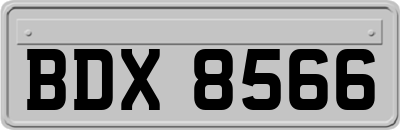 BDX8566