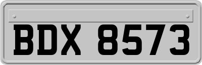 BDX8573