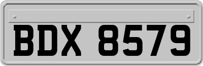 BDX8579