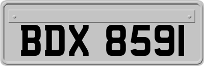BDX8591