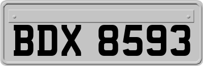 BDX8593