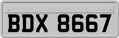 BDX8667