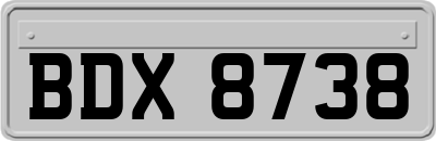 BDX8738