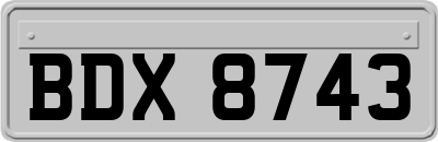 BDX8743