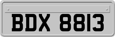 BDX8813