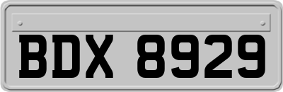 BDX8929