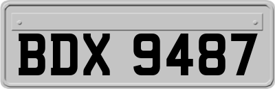 BDX9487
