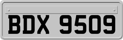 BDX9509