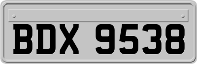 BDX9538