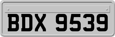 BDX9539