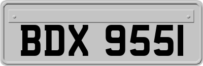 BDX9551