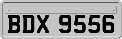 BDX9556