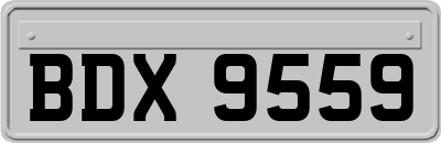 BDX9559