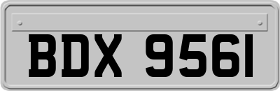 BDX9561