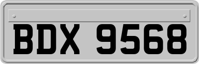 BDX9568