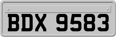 BDX9583