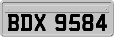 BDX9584