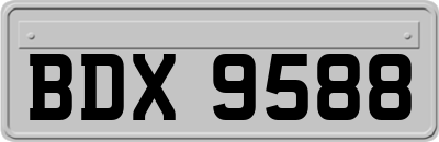 BDX9588