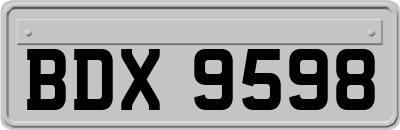 BDX9598